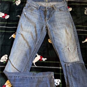 7 For All Mankind: The Ankle Skinny Jeans Womens Size 26